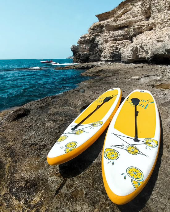 Summer Adventure — Redefined with WheeJet! ☀️🌊